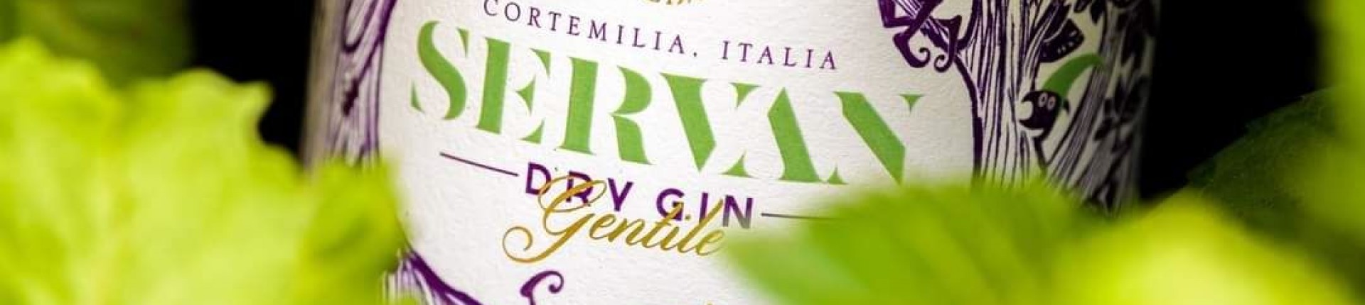 servan gin -  - Valverde Liquori e Grappe artigianali - Distilleria in Cortemilia (CN) - Italia 