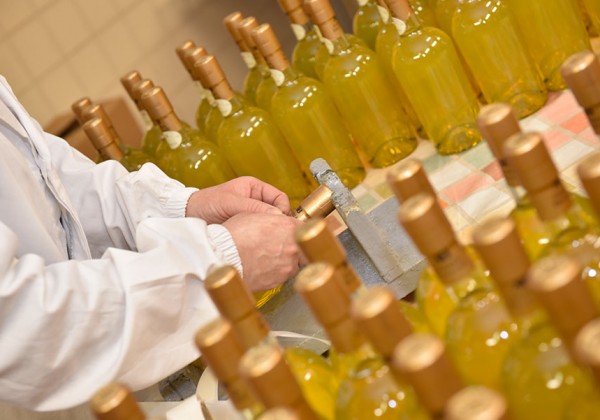 L'azienda - Valverde Liquori e Grappe artigianali - Distilleria in Cortemilia (CN) - Italia 